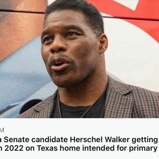 Reposted from @thetnholler ICYMI — Herschel Walker has been taking a tax break for a “primary residence” in Texas while running for office (and voting) in Georgia. 🤔 LINK IN BIO